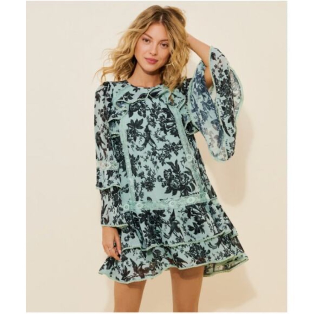 NWT Anthropologie BHLDN Camila Long-Sleeve Chiffon Mini Dress